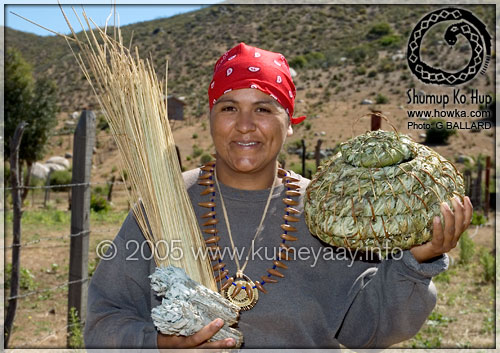 Indigenous Artist Picture