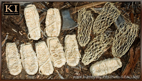AGAVE FIBER ART
