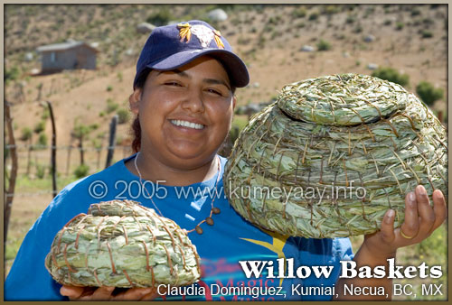 Willow Baskets Picture...