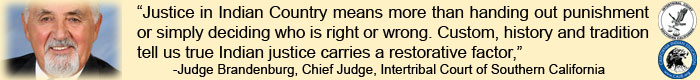 TRIBAL JUSTICE SYSTEM IN AMERICA