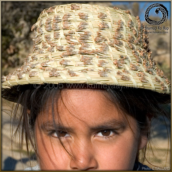 PINE NEEDLE HAT