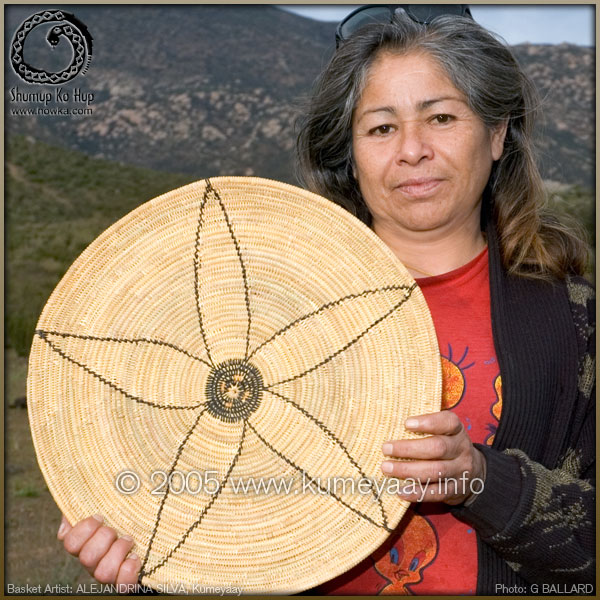 CALIFORNIA NATIVE BASKETS Picture...