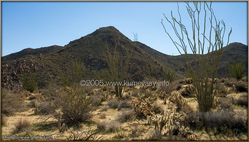 ANZA BORREGO LANDSCAPE Pictures Loading...