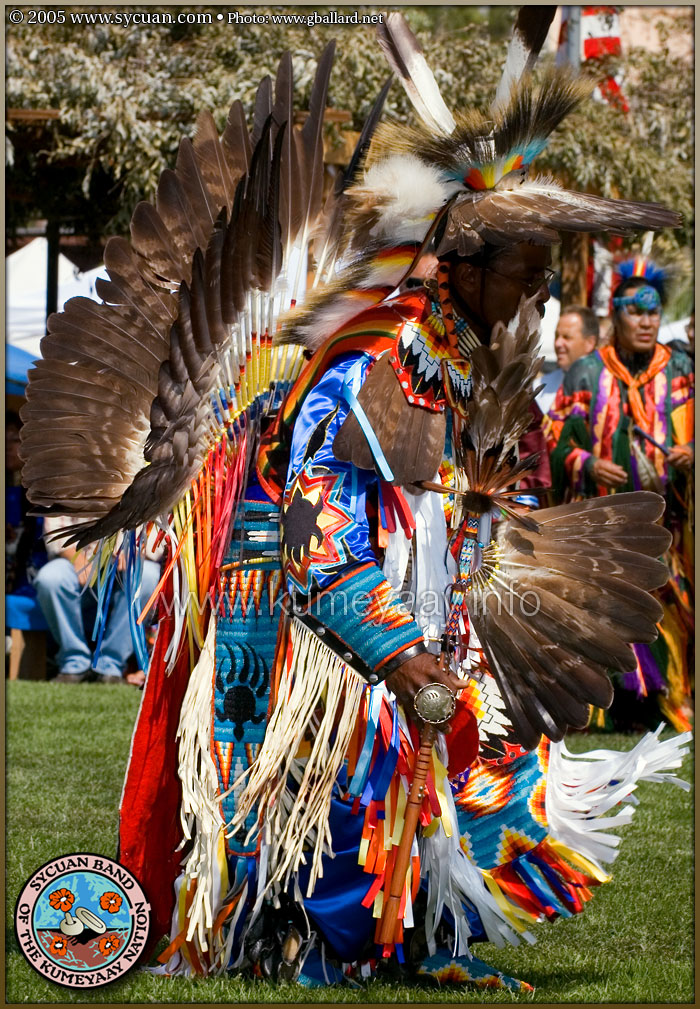 LOADING Large High-Resolution Eagle Feathers Photos...