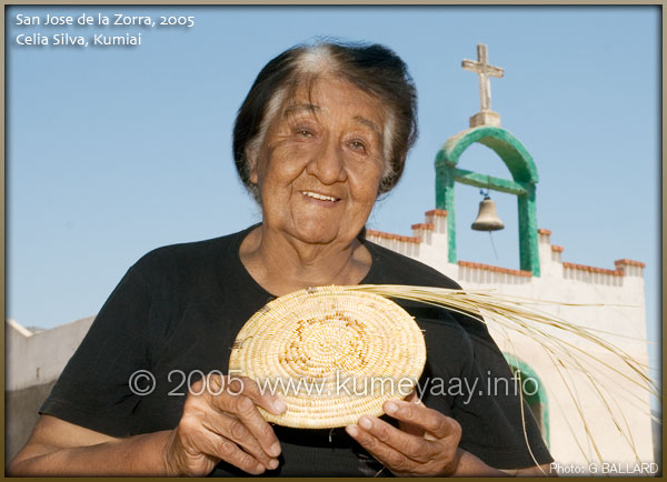 FAMOUS Celia Silva Basket Weaver