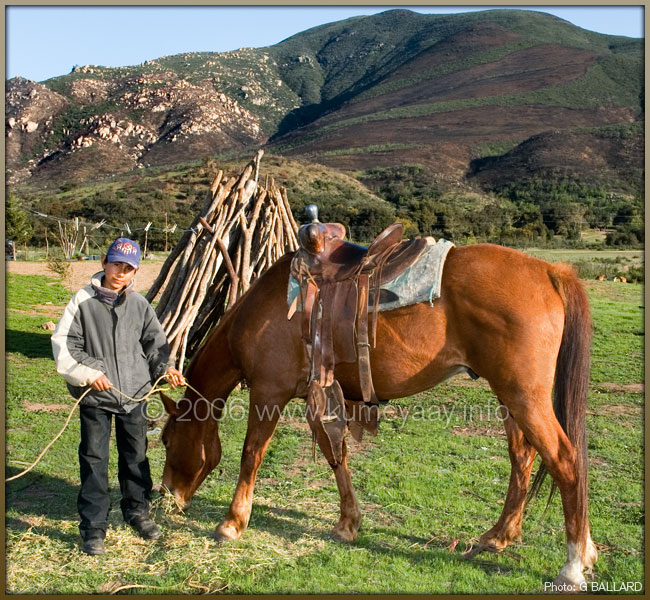 VAQUERO INDIO Foto.....