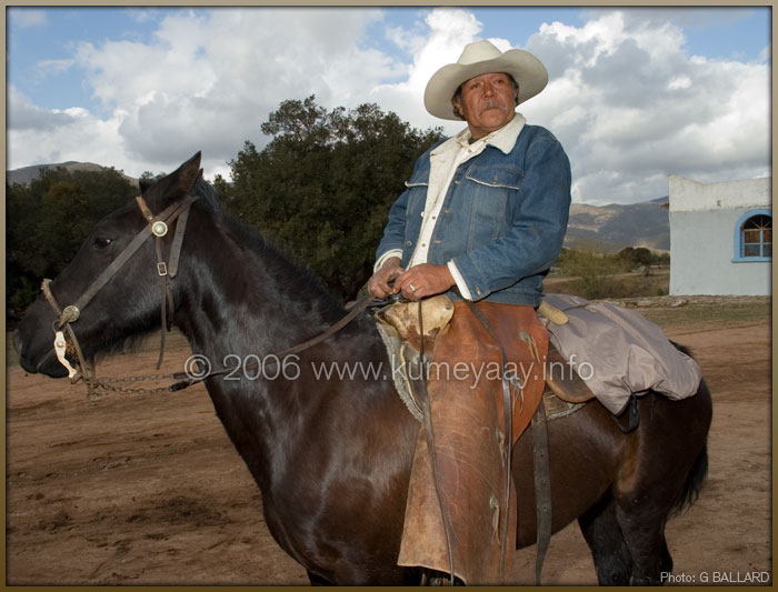 Indian Horse Picture Loading...