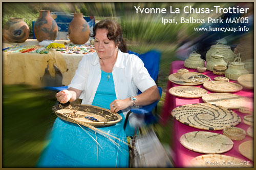 IPAI BASKETWEAVER